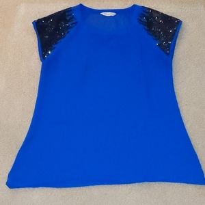Sheer Cobalt Blue Top
